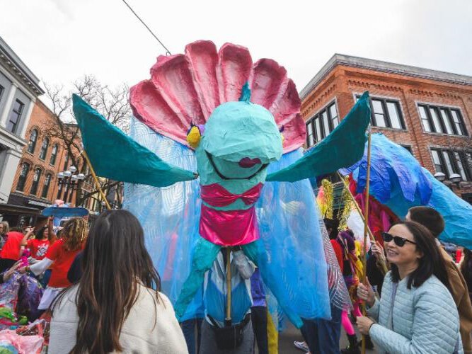 festifools